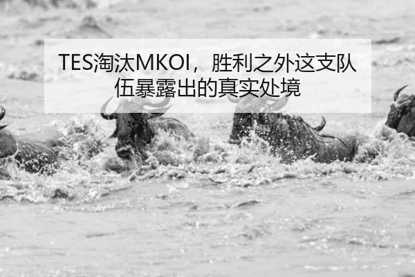 TES淘汰MKOI，胜利之外这支队伍暴露出的真实处境